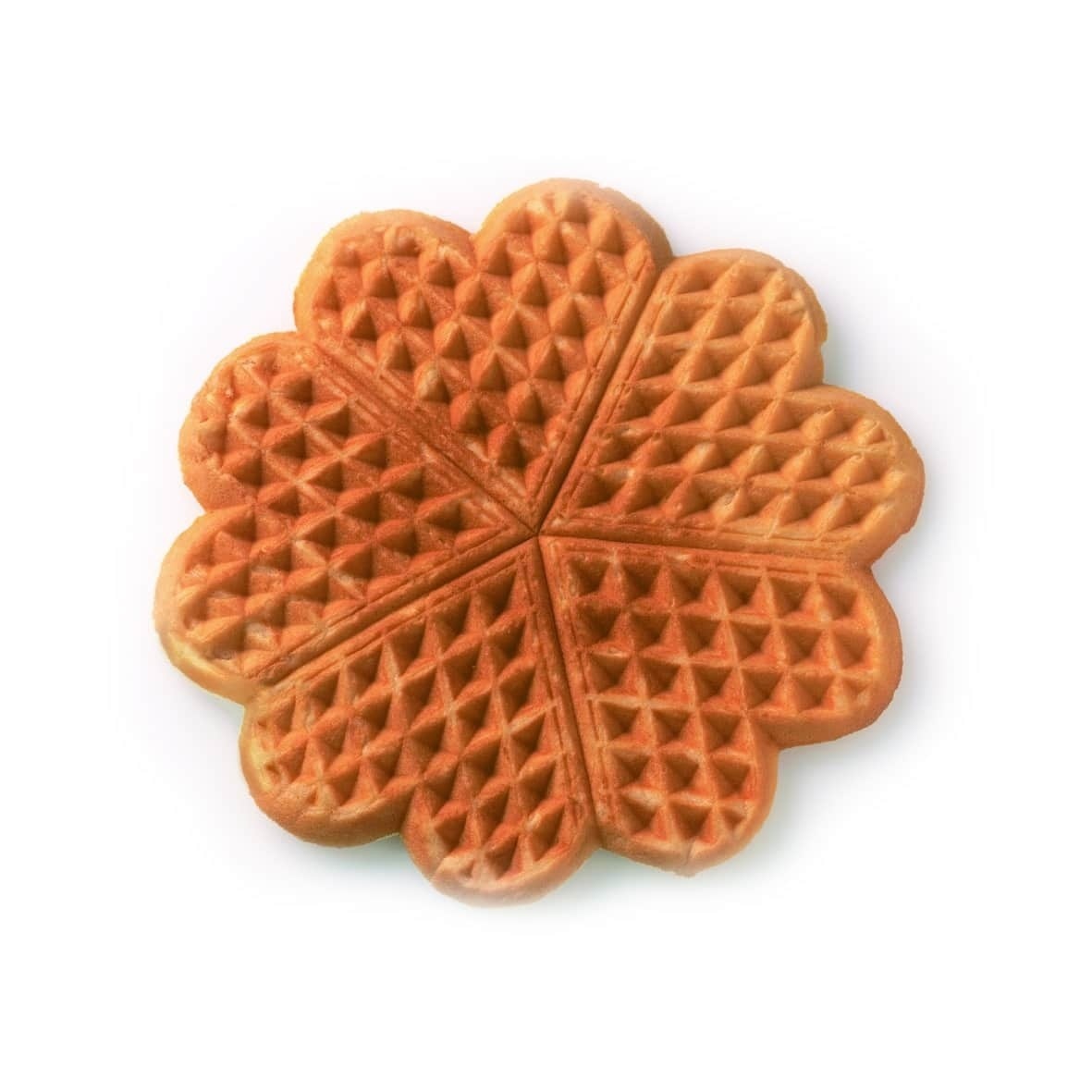 product-image-1001